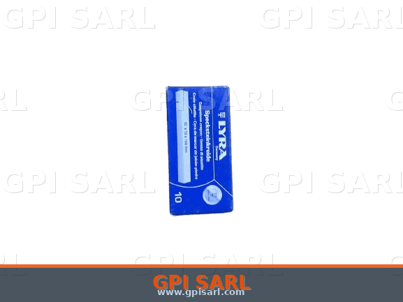 Racloir Grattoir Peinture